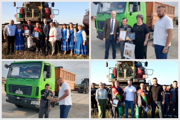 Папоротное